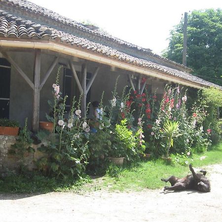 Chambres D'Hotes Le Chintre Queyssel 外观 照片