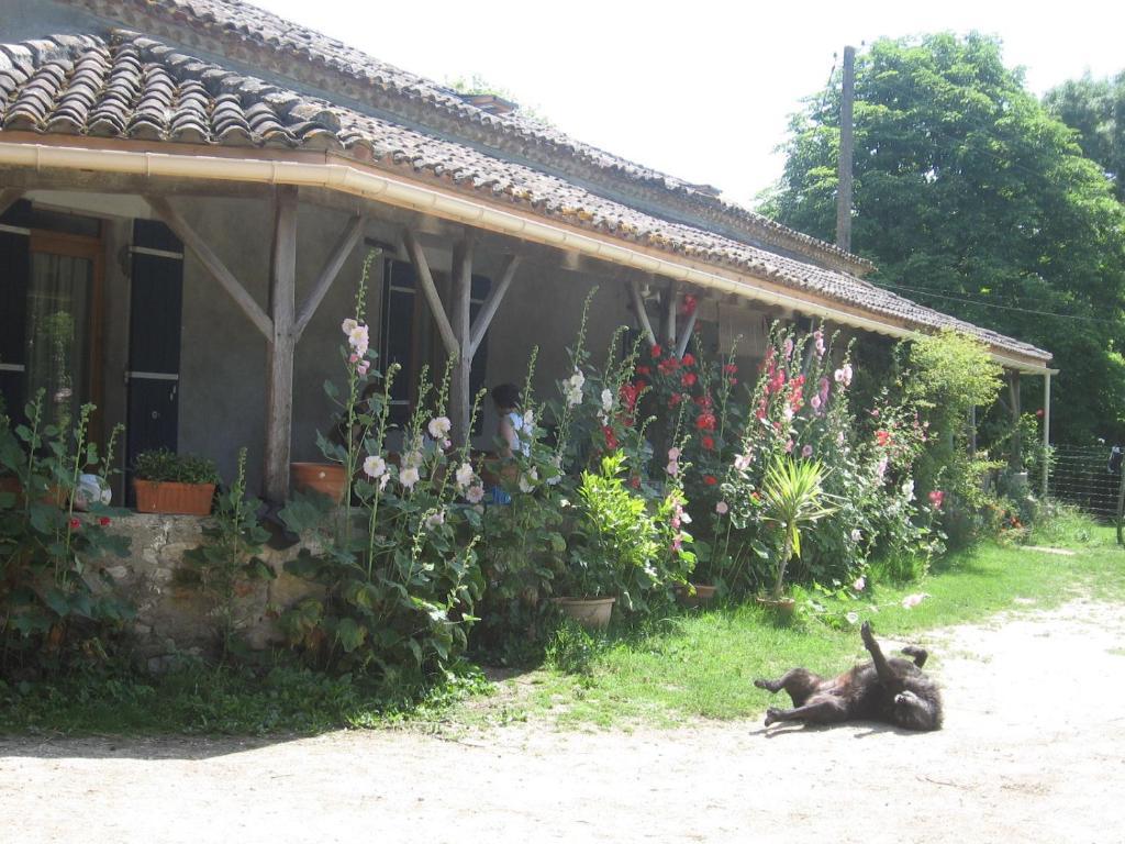 Chambres D'Hotes Le Chintre Queyssel 外观 照片